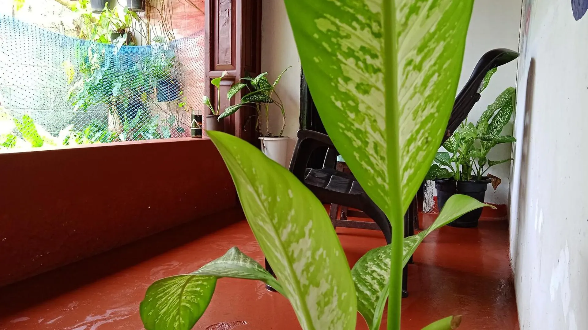 The Blues Hotel Alappuzha Guest house